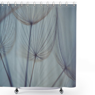 Personality  Abstract Dandelion Flower Background, Extreme Closeup. Big Dandelion On Natural Background. Art Photography Shower Curtains