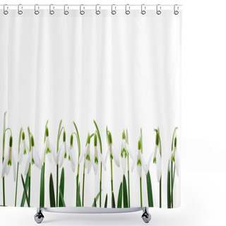 Personality  Group Of Snowdrop Flowers Growing In Row, Isolated On White Background Shower Curtains
