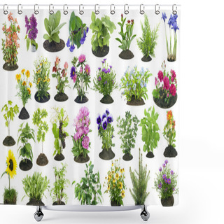 Personality  Garden Plants Grow In Soil Set Shower Curtains