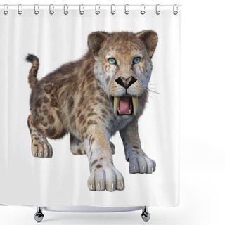 Personality  3D Rendering Sabertooth Tiger On White Shower Curtains