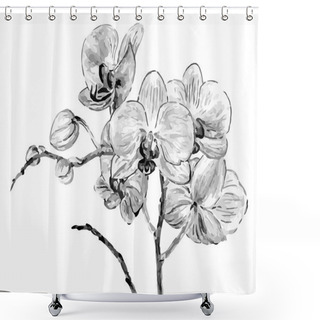 Personality  Hand Drawing Orchid Flowers Shower Curtains