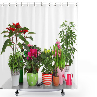 Personality  Composition With Beautiful House Plants Shower Curtains