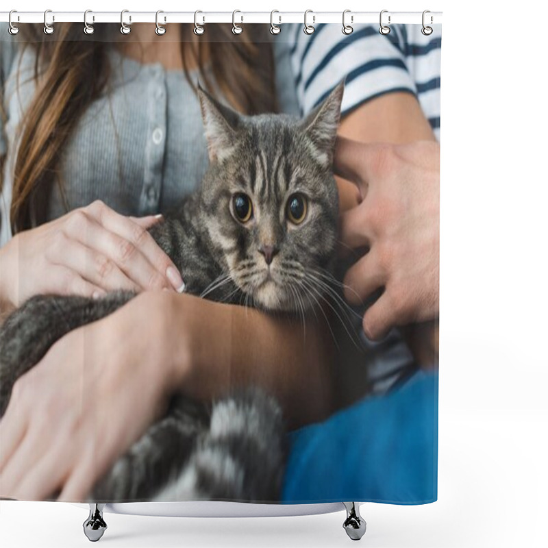 Personality  Cropped shot of couple petting cute tabby cat shower curtains
