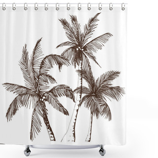 Personality  Sketchy Tropical Palm Trees. Shower Curtains