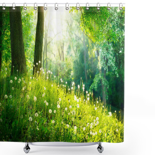 Personality  Spring Nature. Beautiful Landscape. Green Grass And Trees Shower Curtains