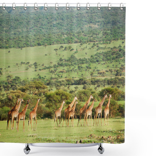 Personality  Giraffes Shower Curtains
