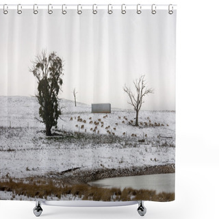 Personality  Winter Scene Shower Curtains