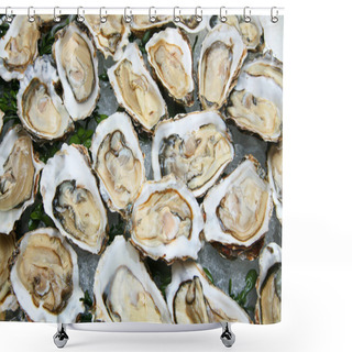 Personality  Oyster Shower Curtains