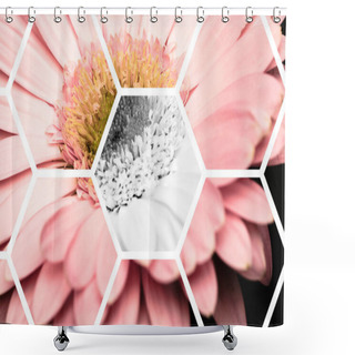 Personality  View Through Transparent Hexagons On Pink Gerbera Shower Curtains