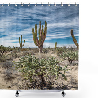 Personality  Mexican Desert With Giant Cactuses And Succulents Shower Curtains
