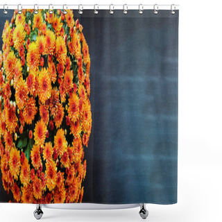 Personality  Large Potted Orange Chrysanthemums Over A Black Background With Room For Text. Image Shot From Top View.  Shower Curtains