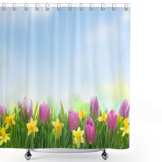 Personality  Spring Narcissus And Tulips Flowers In Green Grass Shower Curtains