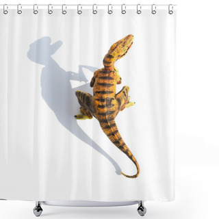 Personality  Top View Yellow Velociraptor Toy On A White Background With Shadow Shower Curtains