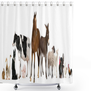 Personality  Variety Of Farm Animals In Front Of White Background Shower Curtains