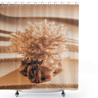 Personality  Close Up View Of Beautiful Coral On Sandy Beach Shower Curtains