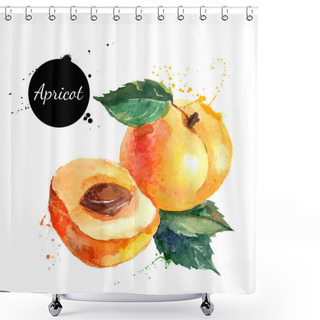 Personality  Hand Drawn Watercolor Painting Apricots Shower Curtains