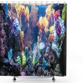 Personality  Photo Of A Tropical Fish On A Coral Reef In Dubai Aquarium Shower Curtains