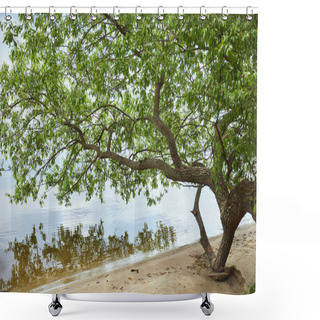 Personality  Green Leaves On Tree Branches Near River And Sand Coastline Shower Curtains