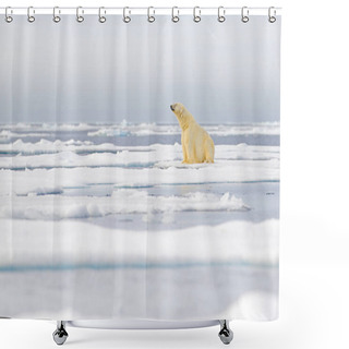 Personality  Dangerous Bear Sitting On The Ice, Beautiful Blue Sky. Polar Bear On Drift Ice Edge With Snow And Water In Norway Sea. White Animal In The Nature Habitat, Europe. Wildlife Scene From Nature.  Shower Curtains