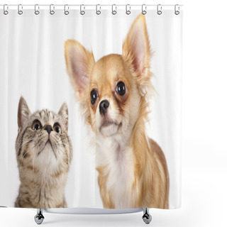 Personality  Kitten And Dog Shower Curtains