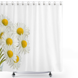 Personality  Bouquet Of Daisies Shower Curtains