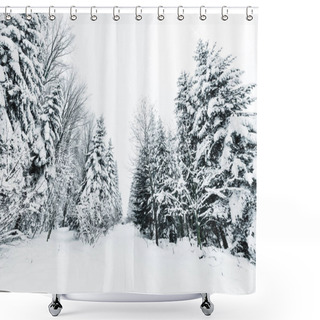 Personality  Road In Carpathian Mountains Covered With Snow Among Spruces  Shower Curtains