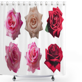 Personality  Three Color Rose Flowers On White Background, Nature, Object, Vintage Shower Curtains
