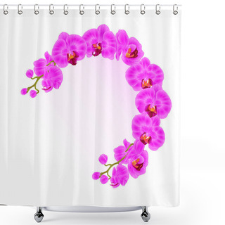 Personality  Frame  Orchid Phalaenopsis Purple  Flowers Tropical Plants Green Stem And Buds Vintage Vector Botanical Illustration Shower Curtains