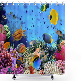 Personality  Photo Of A Coral Colony Shower Curtains