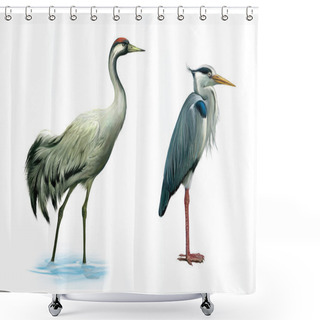 Personality  Crane Bird. Heron. Hern. Shower Curtains