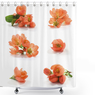 Personality  Quince Flower Shower Curtains