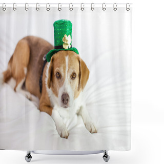 Personality  Cute Dog Wearing Hat For St Patrick's Day Fun Shower Curtains