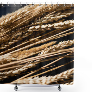 Personality  Close Up Of Lighting On Ripe Wheat Spikelets  Shower Curtains