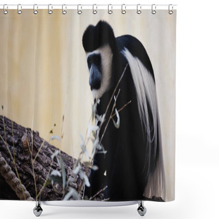 Personality  Black And White Monkey Sitting On Wooden Branch Near Blurred Leaves In Zoo  Shower Curtains