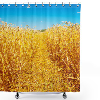 Personality  Ripe Golden Wheat Shower Curtains