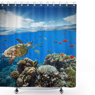 Personality  Underwater Coral Reef With Horizon And Water Surface Shower Curtains