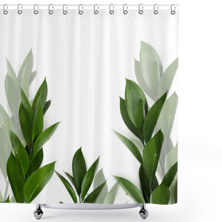 Personality  Green Leaves On Twigs Isolated On White Shower Curtains