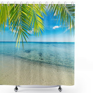 Personality  Palm On A Tropical Beach Shower Curtains