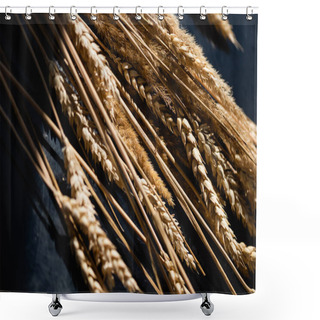 Personality  Close Up Of Ripe Wheat Spikelets On Dark Grey  Shower Curtains