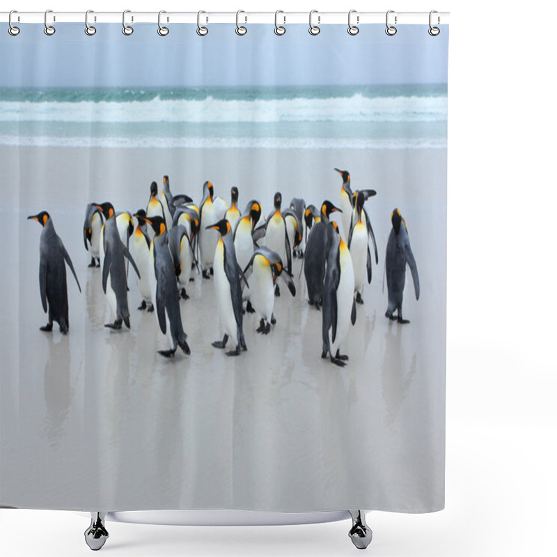 Personality  Group Of King Penguins Shower Curtains