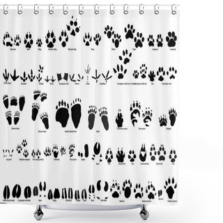 Personality  Animal Trails Shower Curtains