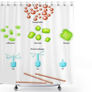 Personality  Medical Illustration Of Some Types Of  Virus Shower Curtains