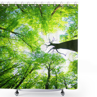 Personality  Nature Shower Curtains
