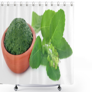 Personality  Medicinal Holy Basil With Ground Paste Shower Curtains