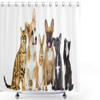 Personality  Cat And Dog And A Rabbit And A Hamster Together On A White Backg Shower Curtains