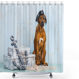 Personality  Rhodesian Ridgeback Pirate-dog With Its Treasures Shower Curtains