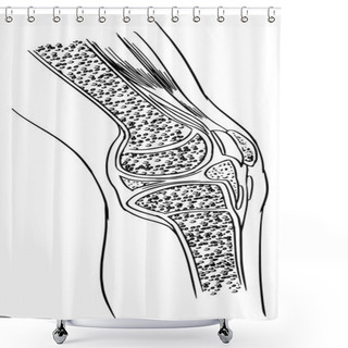Personality  Anatomy Of The Knee Joint Shower Curtains