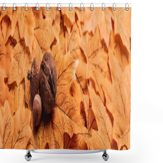 Personality  Walnut And Acorns On Golden Autumnal Foliage Background, Panoramic Shot Shower Curtains