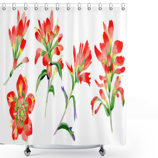 Personality  Wildflower Indian Paintbrush Flower In A Watercolor Style Isolated. Shower Curtains