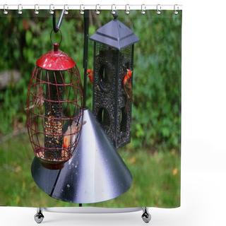 Personality  Bird Feeder Sets Attached With A Squirrel Baffle Shower Curtains